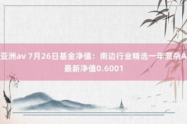 亚洲av 7月26日基金净值：南边行业精选一年混杂A最新净值0.6001