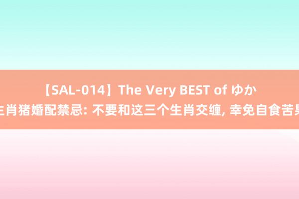 【SAL-014】The Very BEST of ゆか 生肖猪婚配禁忌: 不要和这三个生肖交缠, 幸免自食苦果
