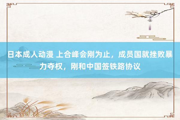 日本成人动漫 上合峰会刚为止，成员国就挫败暴力夺权，刚和中国签铁路协议