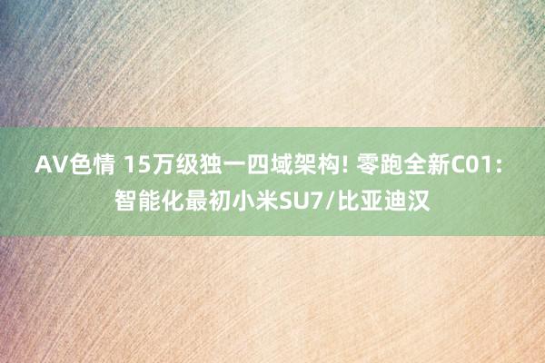 AV色情 15万级独一四域架构! 零跑全新C01: 智能化最初小米SU7/比亚迪汉