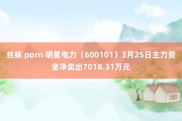 丝袜 porn 明星电力（600101）3月25日主力资金净卖出7018.31万元