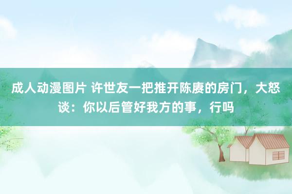 成人动漫图片 许世友一把推开陈赓的房门，大怒谈：你以后管好我方的事，行吗