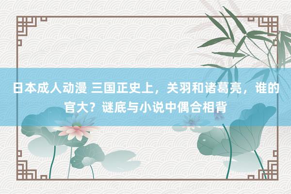 日本成人动漫 三国正史上，关羽和诸葛亮，谁的官大？谜底与小说中偶合相背