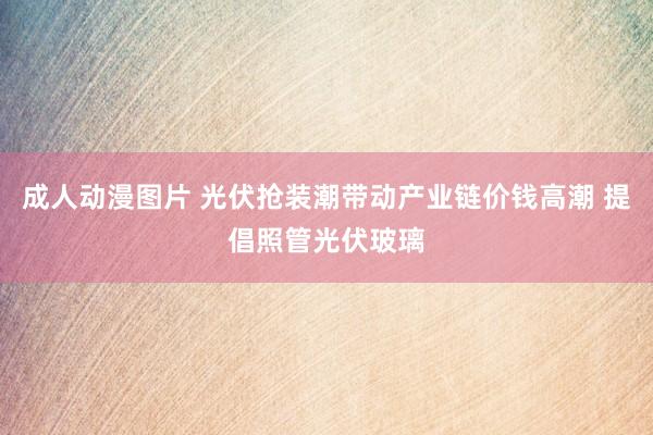 成人动漫图片 光伏抢装潮带动产业链价钱高潮 提倡照管光伏玻璃