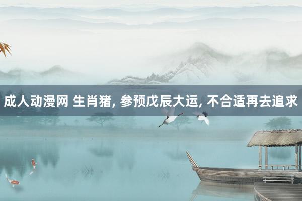 成人动漫网 生肖猪, 参预戊辰大运, 不合适再去追求