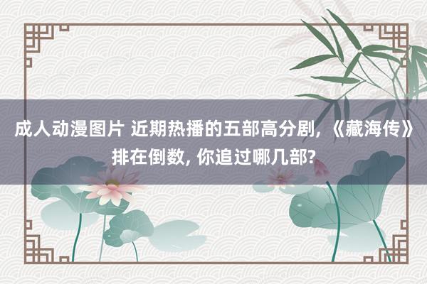 成人动漫图片 近期热播的五部高分剧, 《藏海传》排在倒数, 你追过哪几部?