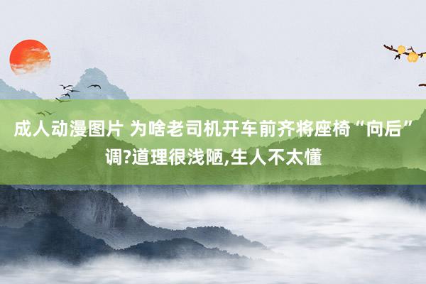 成人动漫图片 为啥老司机开车前齐将座椅“向后”调?道理很浅陋,生人不太懂